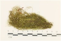 登錄號:B00009490藏品圖，第1張