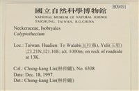 登錄號:B00009491藏品圖，第2張