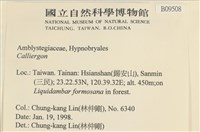 登錄號:B00009508藏品圖，第2張