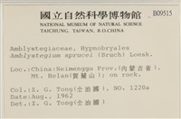 登錄號:B00009515藏品圖，第2張