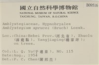 登錄號:B00009516藏品圖，第2張