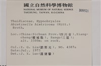 登錄號:B00009521藏品圖，第2張