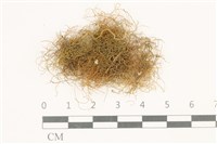 登錄號:B00009529藏品圖，第1張