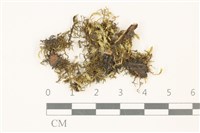 登錄號:B00009533藏品圖，第1張