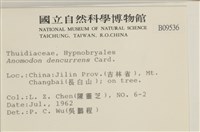 登錄號:B00009536藏品圖，第2張