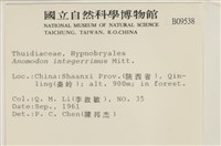 登錄號:B00009538藏品圖，第2張