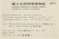 登錄號:B00009541藏品圖，第2張