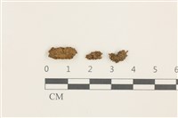 登錄號:B00009542藏品圖，第1張