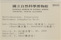 直葉珠蘚藏品圖，第2張