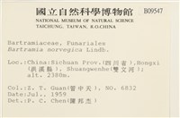挪威珠蘚藏品圖，第2張