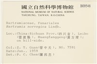 挪威珠蘚藏品圖，第2張