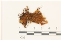 登錄號:B00009549藏品圖，第1張