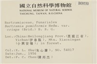 登錄號:B00009550藏品圖，第2張