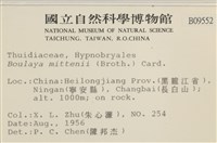 蟲毛蘚藏品圖，第2張