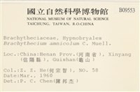 登錄號:B00009553藏品圖，第2張