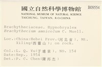 登錄號:B00009554藏品圖，第2張