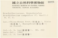 登錄號:B00009556藏品圖，第2張