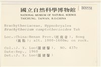 登錄號:B00009558藏品圖，第2張