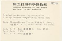 登錄號:B00009559藏品圖，第2張