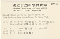 登錄號:B00009561藏品圖，第2張