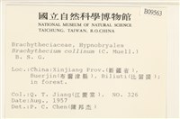 登錄號:B00009563藏品圖，第2張