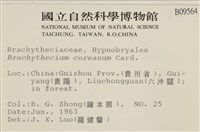 登錄號:B00009564藏品圖，第2張