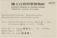 登錄號:B00009565藏品圖，第2張