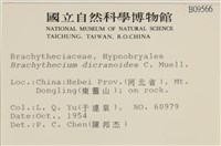 登錄號:B00009566藏品圖，第2張