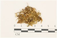 登錄號:B00009566藏品圖，第1張