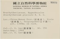 登錄號:B00009570藏品圖，第2張