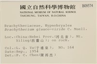 登錄號:B00009574藏品圖，第2張