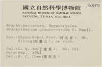 登錄號:B00009575藏品圖，第2張