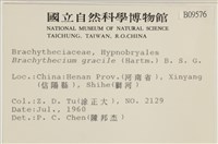 登錄號:B00009576藏品圖，第2張