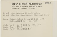 登錄號:B00009578藏品圖，第2張