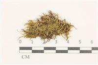 登錄號:B00009578藏品圖，第1張