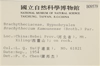 登錄號:B00009579藏品圖，第2張