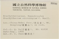 登錄號:B00009580藏品圖，第2張