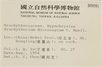 登錄號:B00009581藏品圖，第2張