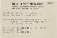 登錄號:B00009582藏品圖，第2張