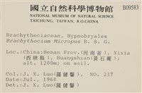 登錄號:B00009583藏品圖，第2張