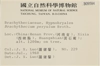 登錄號:B00009584藏品圖，第2張