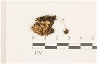 登錄號:B00009585藏品圖，第1張