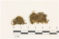 登錄號:B00009586藏品圖，第1張