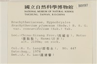 登錄號:B00009587藏品圖，第2張