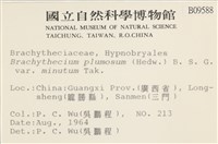 登錄號:B00009588藏品圖，第2張