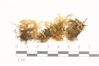 登錄號:B00009588藏品圖，第1張