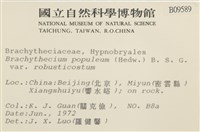 登錄號:B00009589藏品圖，第2張