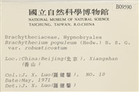 登錄號:B00009590藏品圖，第2張