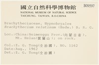 登錄號:B00009597藏品圖，第2張