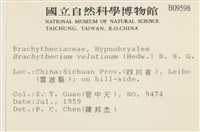 登錄號:B00009598藏品圖，第2張